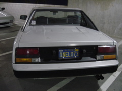 DSC02082.JPG