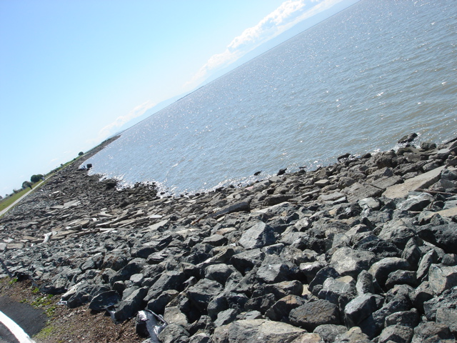 DSC03091