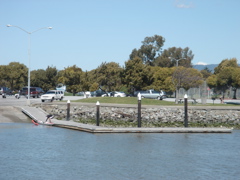 DSC03101