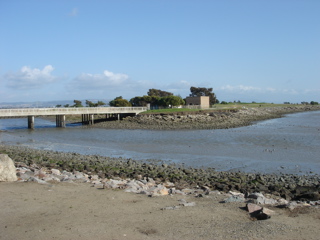 DSC02884