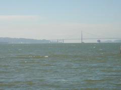 DSC03365.JPG