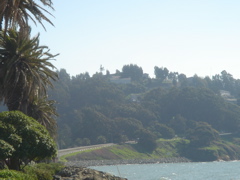 DSC03367.JPG