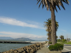 DSC03370.JPG