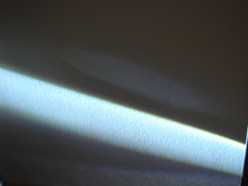 DSC03309